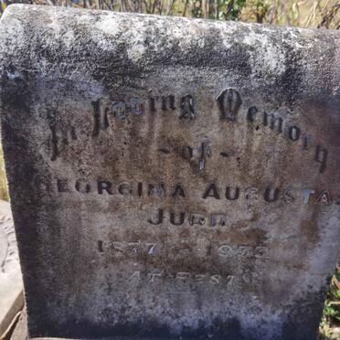 JUDD Georgina Augusta 1877-1933