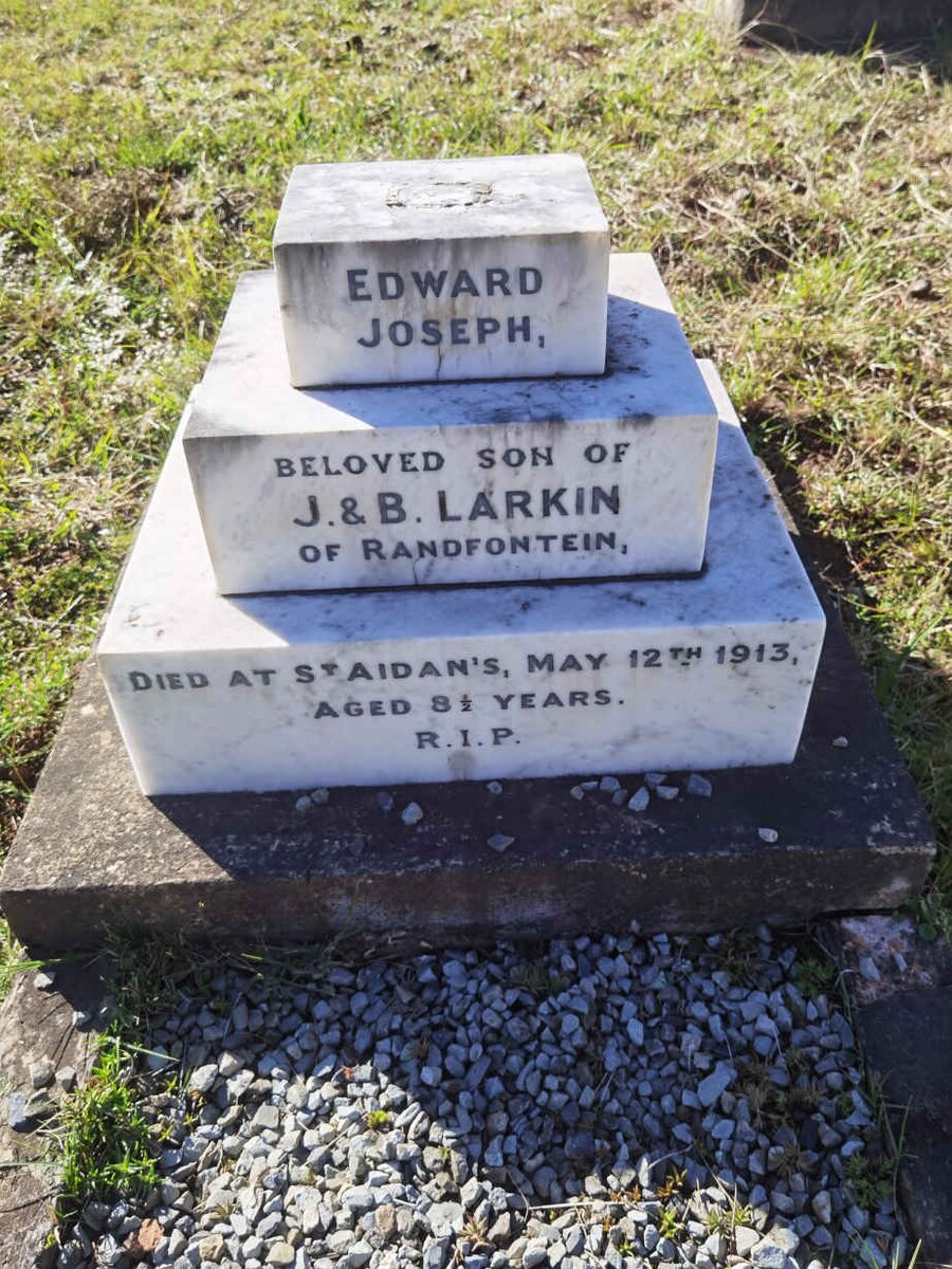 LARKIN Edward Joseph -1913