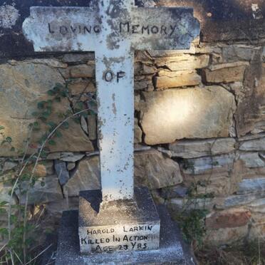 LARKIN Harold :: LARKIN Bernard -1934