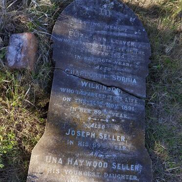 LEAVER Eliza Ann -1884 :: WILKINSON Charlotte Sophia -1891 :: SELLER Joseph :: SELLER Una Haywood