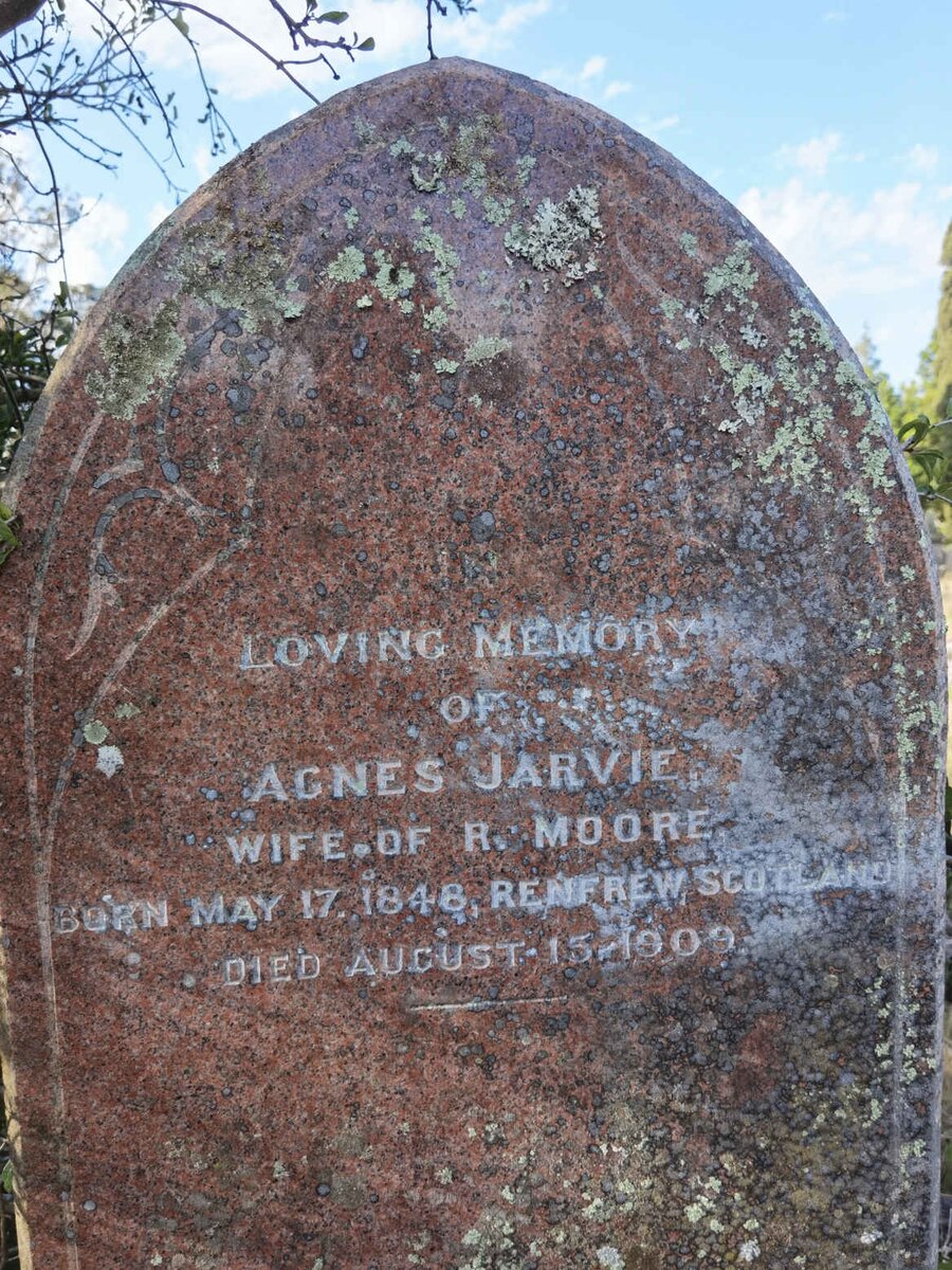 MOORE Agnes Jarvie 1848-1909