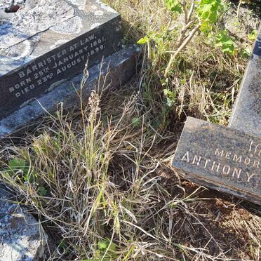 MULLER Anthony 1861-1899