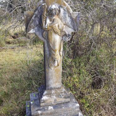 MURRAY James William -1904 _2