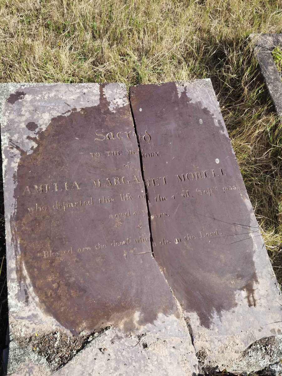 MORELL Amelia Margaret -1853