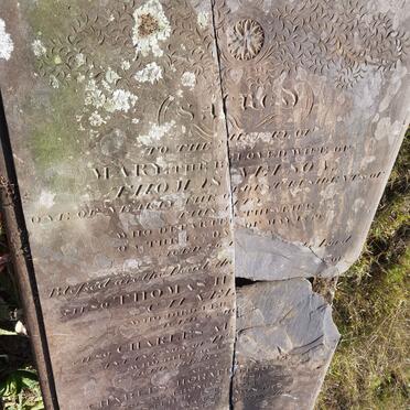 NELSON Mary -1859 :: NELSON Thomas Hay- 1859 :: NELSON Charles -1914 :: NELSON Charles Horatio -1914