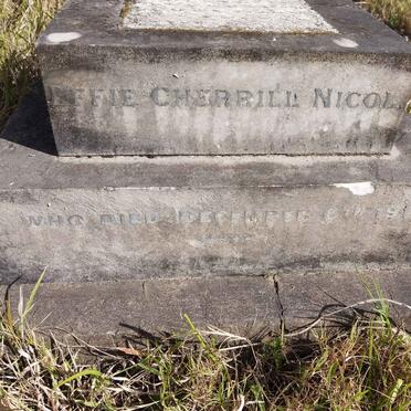 NICOL Effie Cherrill -1918