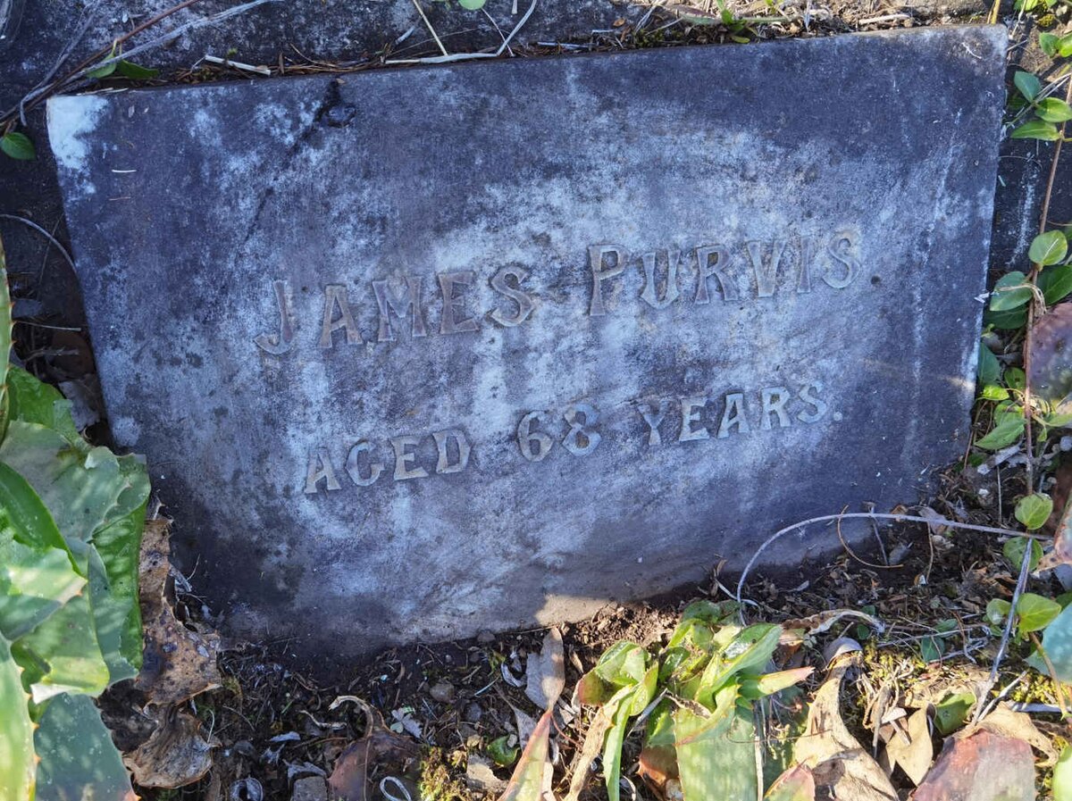 PURVIS James