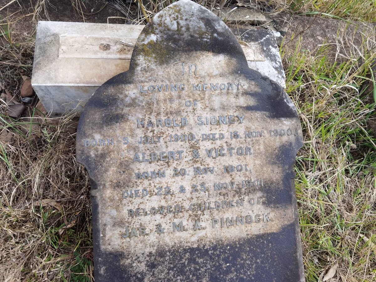 PINNOCK Harold Sidney 1900 :: PINNOCK Albert 1901-1901 :: PINNOCK Victor 1901-1901