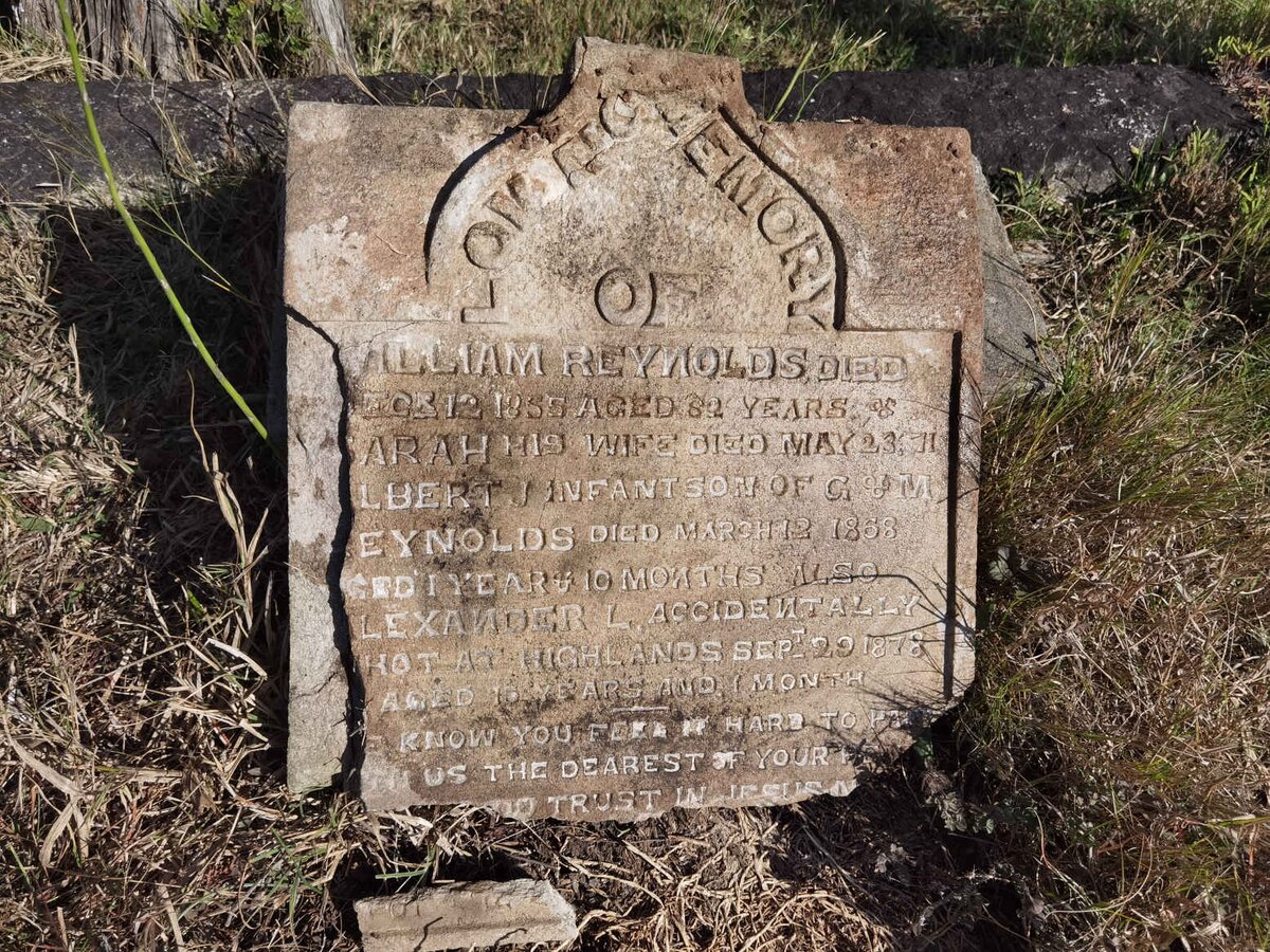 REYNOLDS William -1855 & Sarah -1871 :: REYNOLDS Albert -1868 :: REYNOLDS Alexander L. -1878