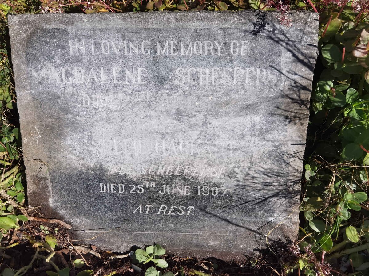 SCHEEPERS Magdalene -1942 :: HACKART Nellie nee SCHEEPERS -1907