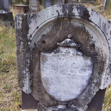 SHEPPERSON Mary Ann nee GODLONTON -1856