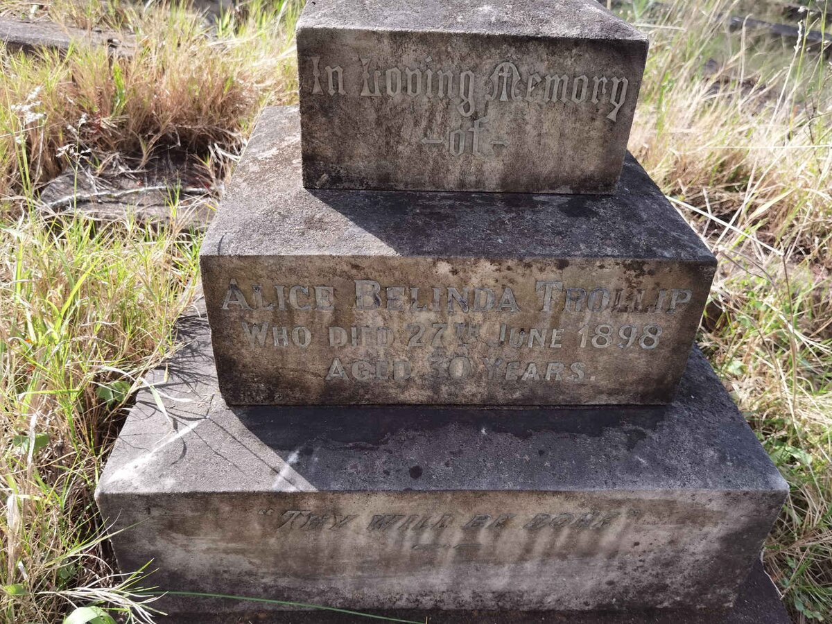 TROLLIP Alice Belinda -1898