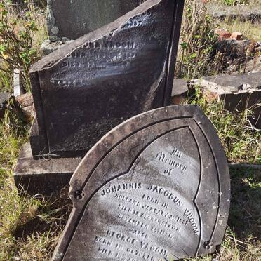 VROOM Johannes Jacobus 1827-1881 :: VROOM George 1866-1867 :: VROOM Flora 1870-1871