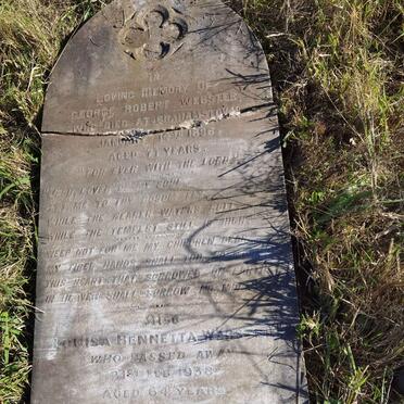 WEBSTER George Robert -1896 :: WEBSTER Louisa Bennetta -1938