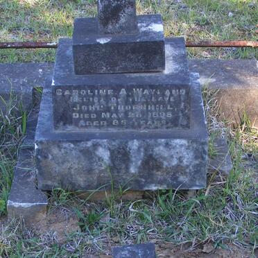 WAYLAND Caroline -1898