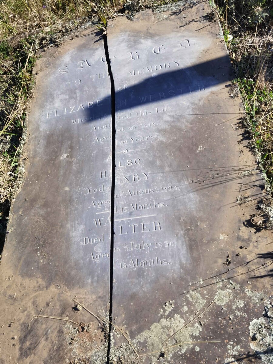 WEBSTER Elizabeth -1848 :: WEBSTER Henry -1824 :: WEBSTER Walter -1830