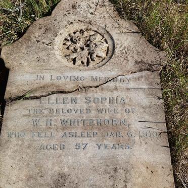 WHITEHORN Ellen Sophia -1910