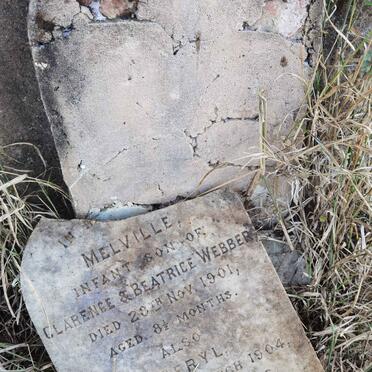 WEBBER Melville -1901 :: WEBBER Beryl -1904 :: WEBBER Stanley Athol -1908