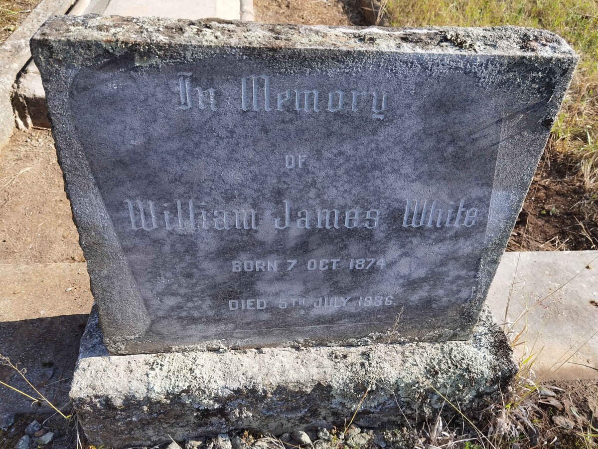 WHITE William James 1874-1936