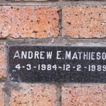 MATHIESON Andrew E. 1984-1989
