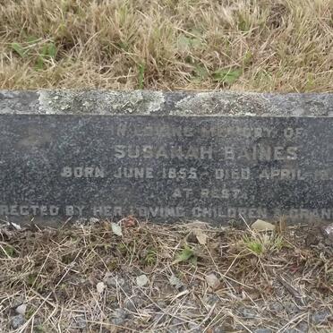BAINES Susanah 1855-19??