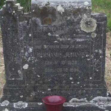 BEZUIDENHOUT Hermanus Johannes 1936-1954