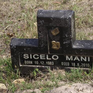 MANI Sicelo 1983-2010