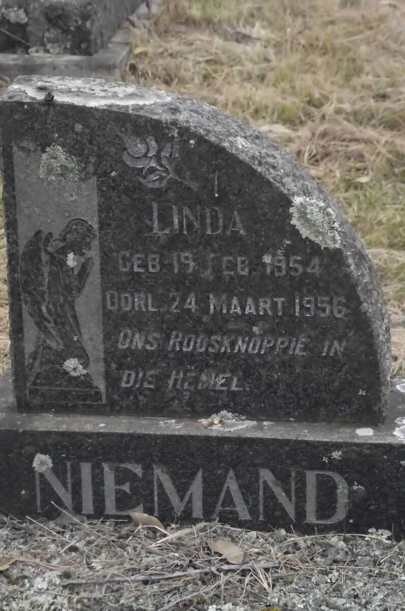 NIEMAND Linda 1954-1956