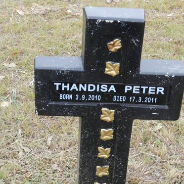 PETER Thandisa 2010-2011