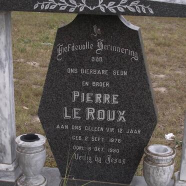 ROUX Pierre, le 1978-1990