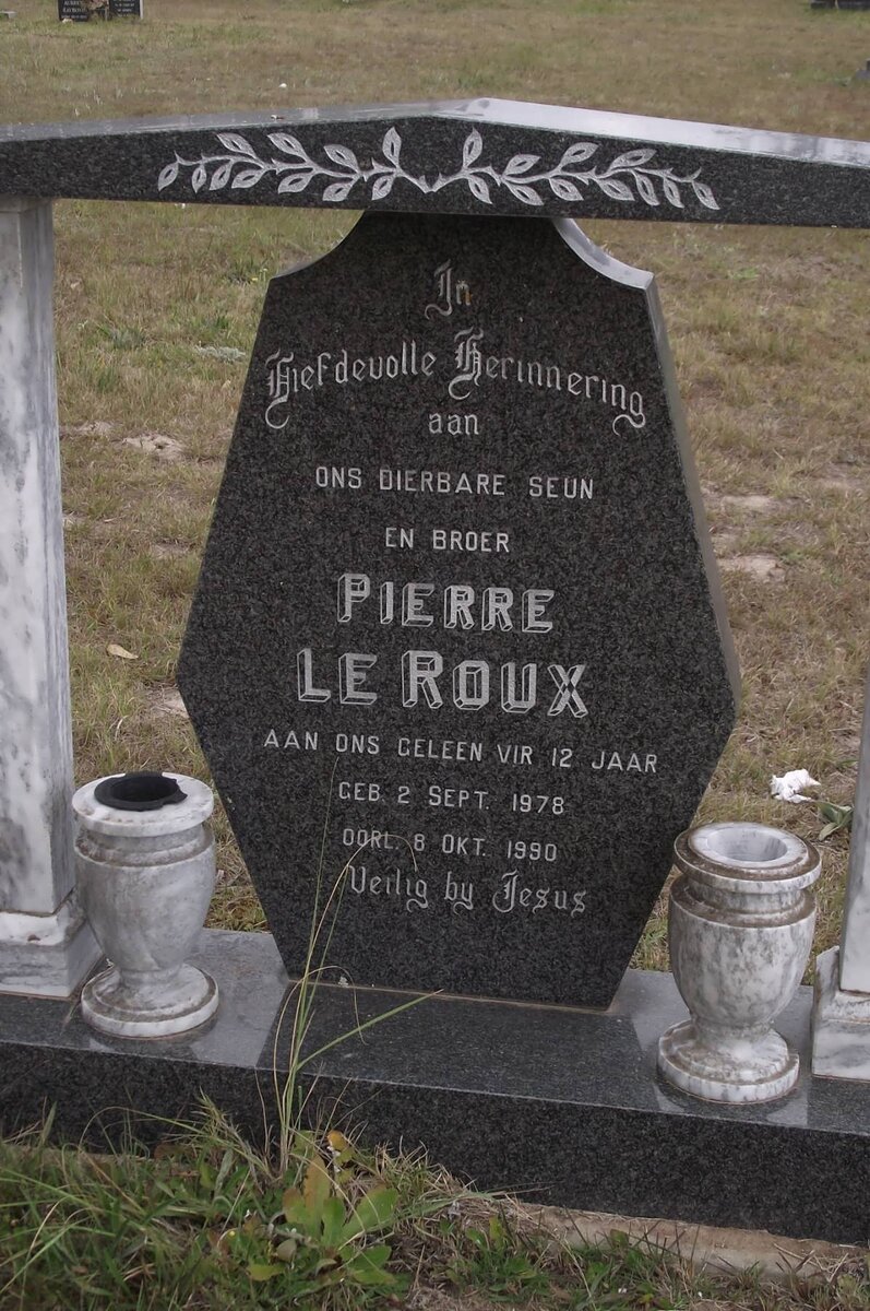 ROUX Pierre, le 1978-1990