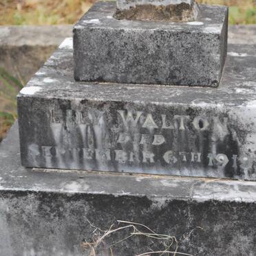 WALTON Lily -1919