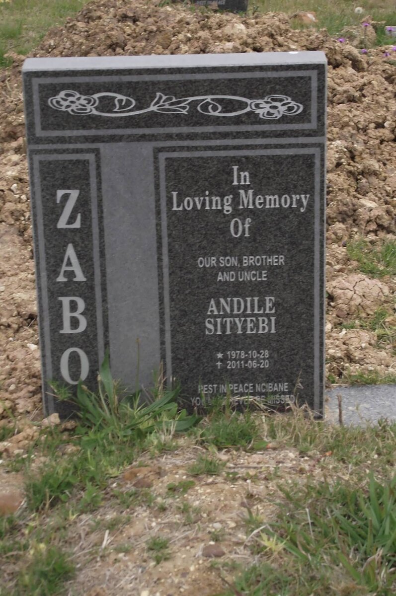 ZABO Andile Sityebi 1978-2011