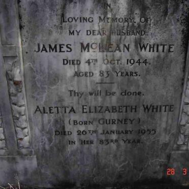 CAMPBELL :: WHITE :: DRUITT :: STEWART :: HUBBARD