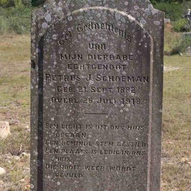 SCHOEMAN Petrus J. 1882-1918