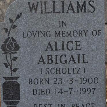 WILLIAMS Alice Abigail nee SCHOLTZ 1900-1997