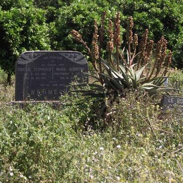 Eastern Cape, HANKEY district, Patensie 65, Gonnakop farm cemetery