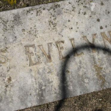 ? Evelyn