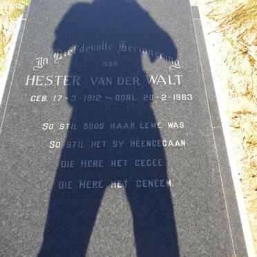 WALT Hester, van der 1912-1983