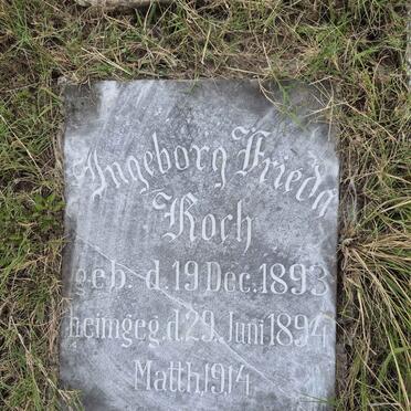 KOCH Ingeborg Frieda 1893-1894