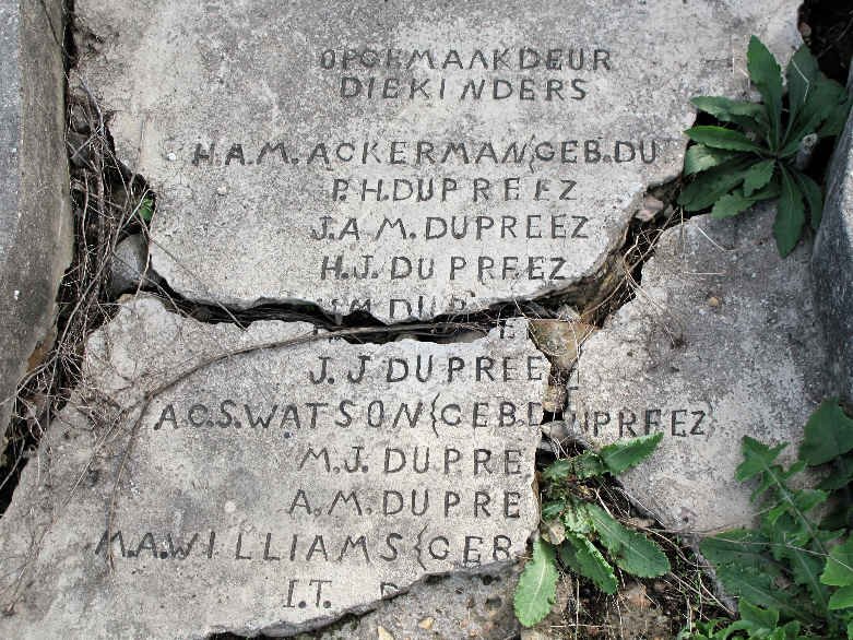 ACKERMAN :: DU PREEZ