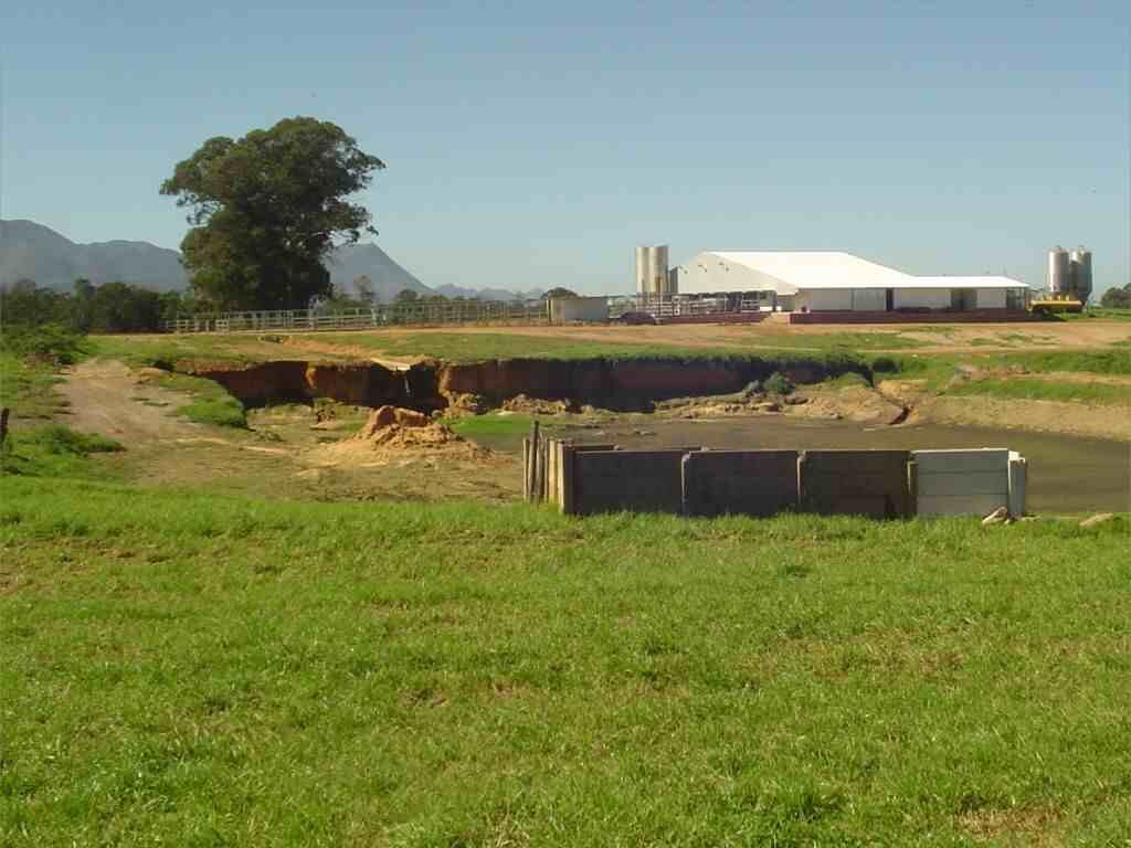 1. Overview of the farm