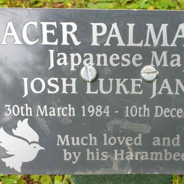 Eastern Cape, HOGSBACK, Arboretum, memorial plaques