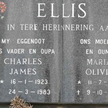 E - Surnames :: Vanne - E