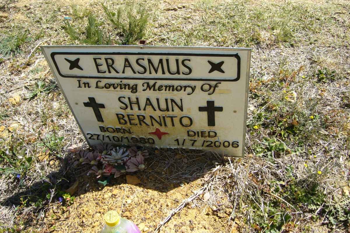 ERASMUS Shaun Bernito 1980-2006