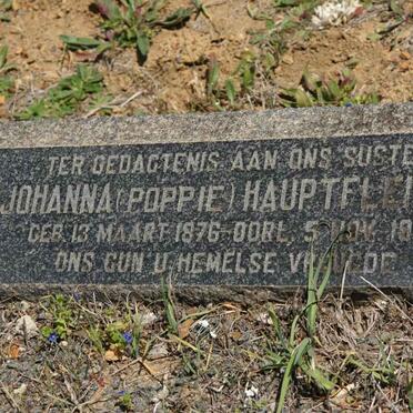 HAUPTFLEISCH Johanna 1876-1952