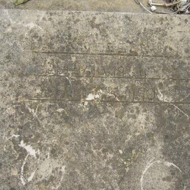 KNOES B.J. 1934-1990