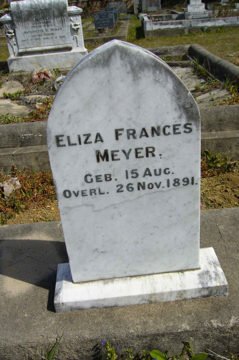 MEYER Eliza Frances 1891-1891