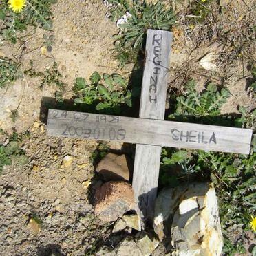 NON Reginah Sheila 1924-2003