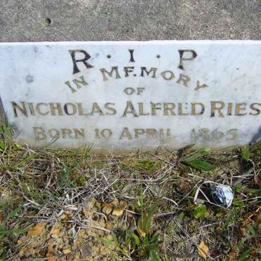 RIES Nicholas Alfred 1865-